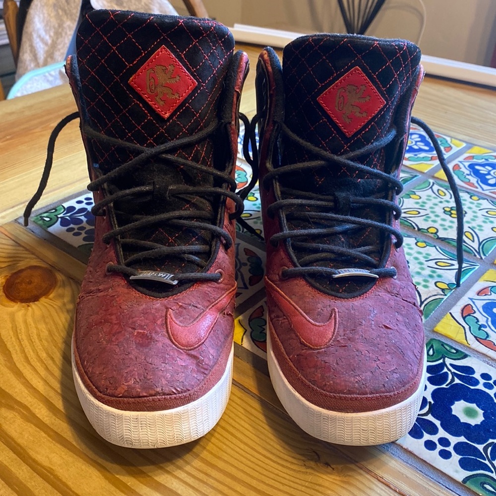 Nike Lebrons - image 1